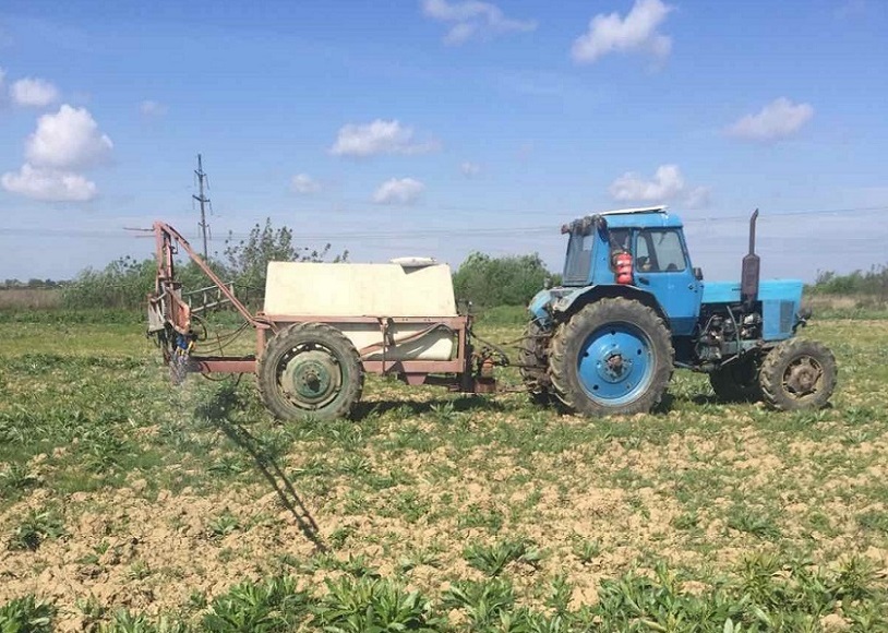 Внесення  гербіцидів
